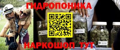2c-b Канаш