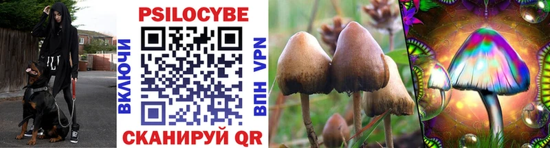 Галлюциногенные грибы MAGIC MUSHROOMS  где купить наркоту  кракен как зайти  Новоуральск 